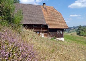Sommer Tennenbronn 2018