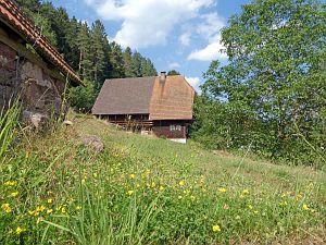 Sommer Tennenbronn 2018