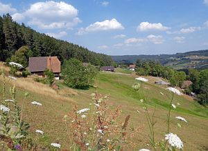 Sommer Tennenbronn 2018