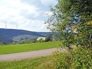 Sommer Tennenbronn 2018