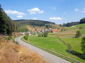 Sommer Tennenbronn 2018