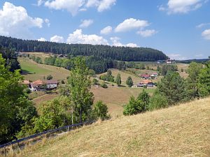 Sommer Tennenbronn 2018