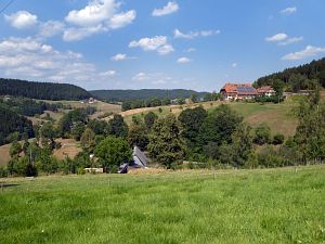 Sommer Tennenbronn 2018