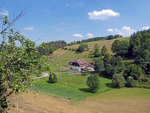 Sommer Tennenbronn 2018