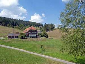 Sommer Tennenbronn 2018