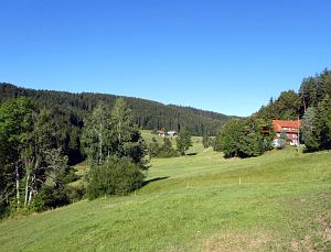 Sommer neigt sich dem Ende entgegen