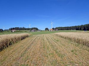 Sommer neigt sich dem Ende entgegen