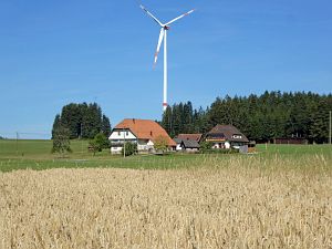 Sommer neigt sich dem Ende entgegen