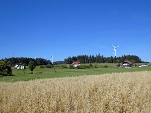Sommer neigt sich dem Ende entgegen