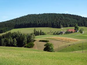 Sommer neigt sich dem Ende entgegen