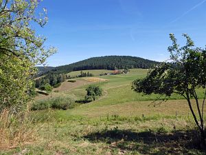 Sommer neigt sich dem Ende entgegen