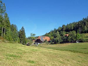 Sommer neigt sich dem Ende entgegen