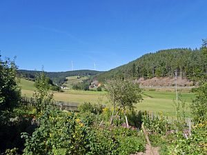 Sommer neigt sich dem Ende entgegen