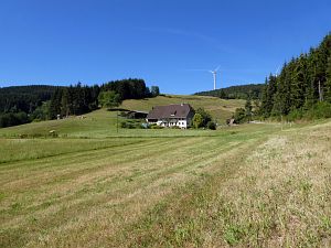 Sommer neigt sich dem Ende entgegen