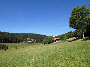 Sommer neigt sich dem Ende entgegen