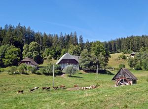 Sommer neigt sich dem Ende entgegen