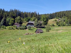 Sommer neigt sich dem Ende entgegen