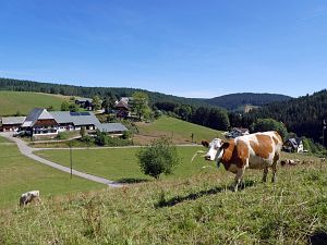 Sommer neigt sich dem Ende entgegen