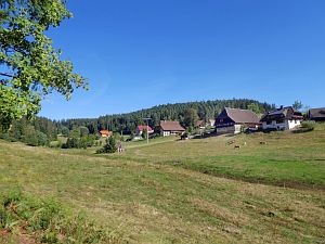 Sommer neigt sich dem Ende entgegen