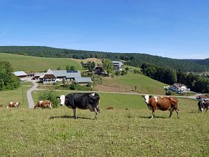 Sommer neigt sich dem Ende entgegen