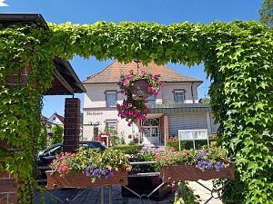Sommer neigt sich dem Ende entgegen