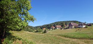 Sommer neigt sich dem Ende entgegen