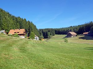 Sommer neigt sich dem Ende entgegen