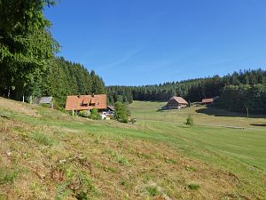 Sommer neigt sich dem Ende entgegen