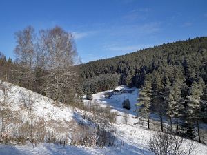 Wintermorgen Tennenbronn