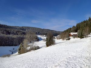 Wintermorgen Tennenbronn
