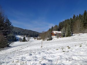 Wintermorgen Tennenbronn