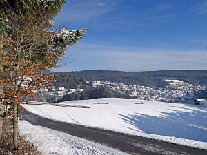 Wintermorgen Tennenbronn