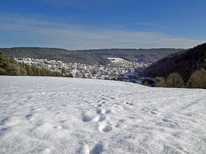 Wintermorgen Tennenbronn