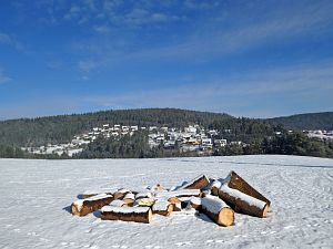 Wintermorgen Tennenbronn
