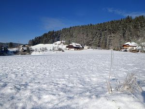 Wintermorgen Tennenbronn