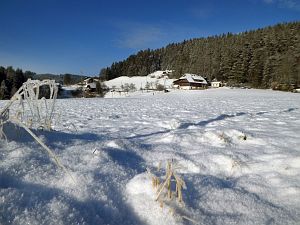 Wintermorgen Tennenbronn