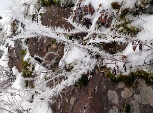 Schnee Mitte Mrz 2018