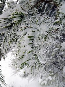 Schnee Mitte Mrz 2018