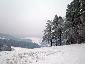 Schnee Mitte Mrz 2018