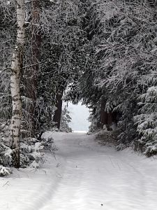 Schnee Mitte Mrz 2018