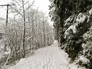 Tennenbronn Winter im Februar 2018