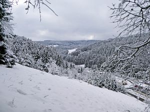 Tennenbronn Winter im Februar 2018