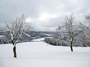 Tennenbronn Winter im Februar 2018
