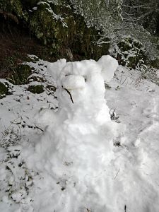 Tennenbronn Winter im Februar 2018