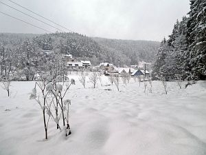 Tennenbronn Winter im Februar 2018
