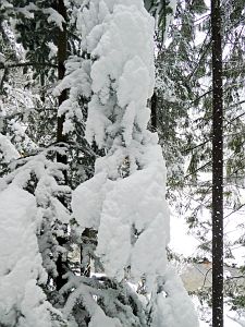 Tennenbronn Winter im Februar 2018