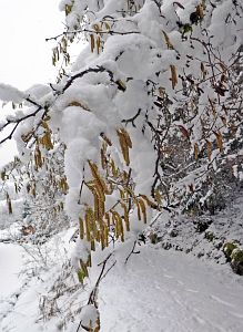 Tennenbronn Winter im Februar 2018