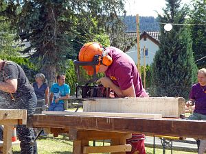 Waldfest WLS