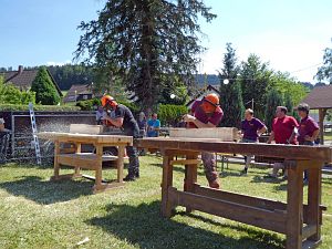 Waldfest WLS