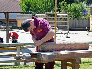 Waldfest WLS